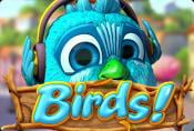 Birds Online Slot without Registration - Symbols and Bonuses