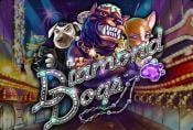 Online Slot Diamond Dogs - Short Review, How to Play