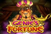 Genies Fortune Online Slot Machine with Prize Combinations