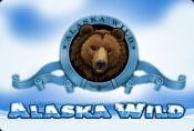 Alaska Wild Slot Machine With Free Spins And Risk Game