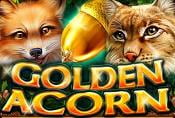 Golden Acorn Casino Slot Online - Play Free with Risk Game