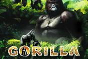 Free Online Slot Gorilla with Risk Game and Bonus Spins