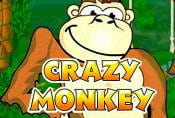 Online Slot Crazy Monkey with Risk Game and Bonuses