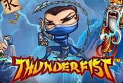 Online Video Slot Thunderfist game with Bonus Rounds