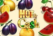 Online Slot Machine Hot Cash no Downloads