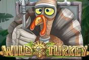 Wild Turkey Slot Free Online - Play with Wild Symbol