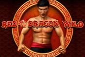 Online Video Slot Machine Red Dragon Wild no Download