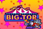 Big Top Online Slot Game - Symbols and Payouts