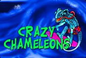 Video Slot Crazy Chameleons - Bonus Combinations and Symbols