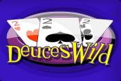 Video Poker Deuces Wild Slot Machine - Game Process and Combinations
