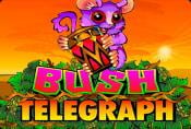 Online Video Slot Bush Telegraph - Free Spins and a Bonus Round