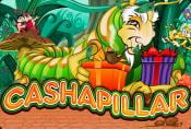 Online Slot Machine Cashapillar - Special Rounds & Opportunities