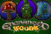 Enchanted Woods Slot Machine - Play Game by Microgaming Online