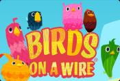 Birds on a Wire Slot Machine - Interesting Features of Demo Game