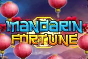 Mandarin Fortune Slot Game with Bonus Options and Wild Symbol