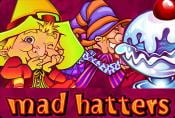 Mad Hatters Slot Game - Bonus Round & Principle of the Game