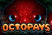 Octopays Slot Machine - Play Online without Deposit & Registration