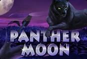 Video Slot Machine Panther Moon Online Slots Game Free