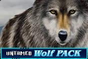 Untamed Wolf Pack Free Slot Online With Bonuses and Risk Game