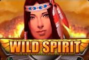 Wild Spirit Online Slot with Bonus Game and Free Spins