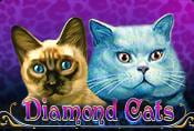Diamond Cats Slot - How to Play & Bonus Spins in Game