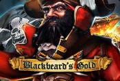 Blackbeard's Gold Slot Machine - Free to Play Game by Cryptologic