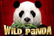 Wild Panda Slot Machine - Read Review & Play Online for Free