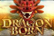Online Video Slot Dragon Born Game Free