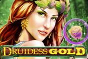 Online Slot Druidess Gold - Symbols and Coefficients