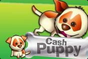 Online Video Slot Cash Puppy - Game Strategy And How To Play