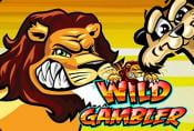 Online Video Slot Machine Wild Gambler - Play With Bonus