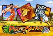 Online Slot Game Photo Safari with Bonus Rounds no Downloads