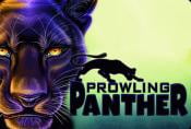Prowling Panther