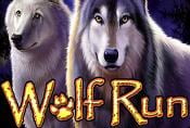 Free Online Slot Wolf Run - Play with Free Spins Without Registration