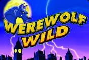Werewolf Wild Slot Machine - Game Aristocrat Gaming Free to Play