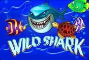 Wild Shark Slots - Play for Free and Read Game Review