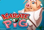 Karate Pig Slot Machine - Play & Read Game Review on Special Symbols