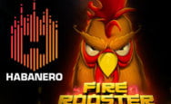 Habanero launched a new slot Fire Rooster