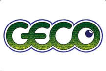 Geco Gaming – Slots, Company's Back Story and Partners