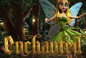 Online Slot Game Enchanted - Symbols and Management