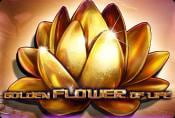 Golden Flower of Life