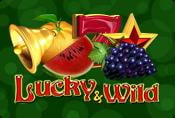 Online Slot Game More Lucky Wild with Bonuses
