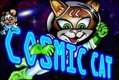 Cosmic Cat