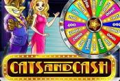 Online Slot Game Cats and Cash with Bonus Rounds no Downloads