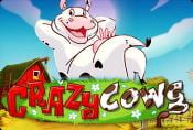Online Slot Game Crazy Cows no Deposit