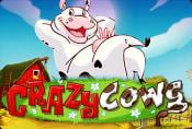 Crazy Cows