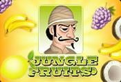 Online Slot Jungle Fruits - Play Free With Progressive Jackpot