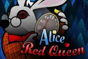 Alice and the Red Queen