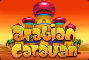 Arabian Caravan