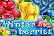 Winterberries